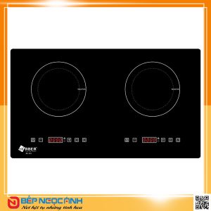 Bếp từ Arber AB381