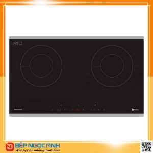 Bếp từ Arber AB395