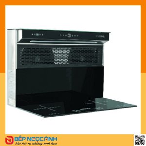 Bếp điện từ đôi Baidee EA9 - 10