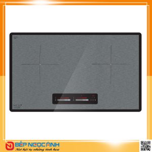 Bếp Từ Canzy CZ-922P