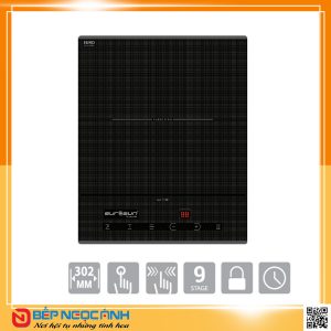 Bếp Từ Đơn Eurosun EU-T199