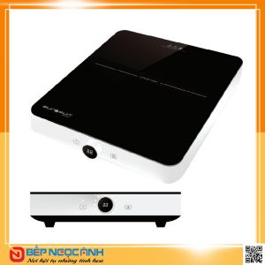 Bếp từ đơn Eurosun EU T197