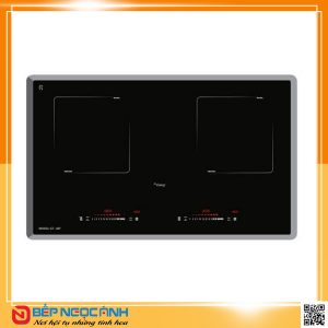 Bếp từ CANZY CZ 38I