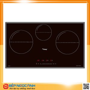 Bếp điện từ cao cấp CANZY CZ 67GH