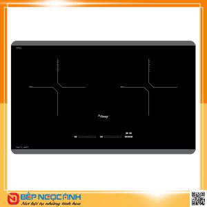 Bếp từ CANZY CZ 9898DP