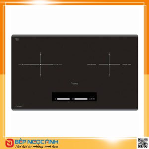 Bếp từ CANZY CZ 989D