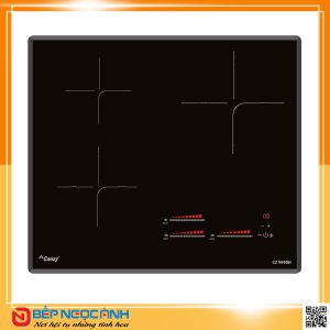 Bếp từ CANZY CZ 999DH