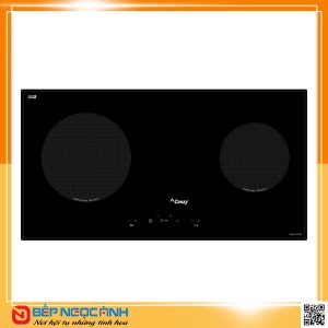 Bếp điện từ cao cấp CANZY CZ II822