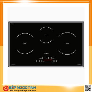 Bếp từ CANZY CZ TL67GA