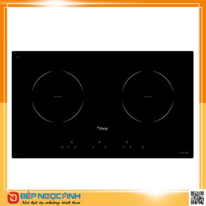Bếp điện từ cao cấp CANZY CZ - 200SS