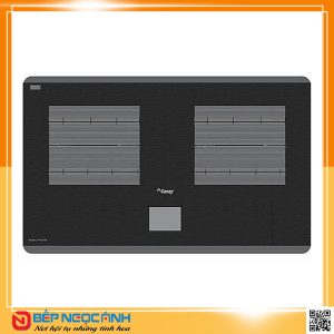 Bếp từ Canzy CZ 9928GM