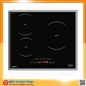 Bếp từ Canzy CZ TL67HA