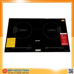 BẾP TỪ D'MESTIK TL922DKI