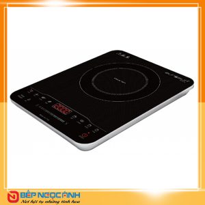 BẾP TỪ EUROSUN EU-T196