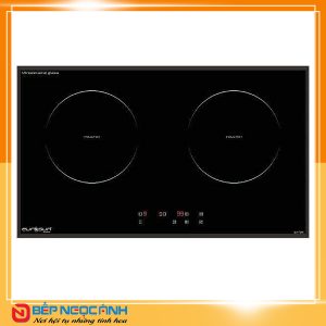 Bếp từ Eurosun EU-T265