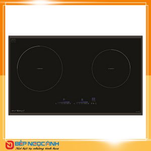 Bếp từ Eurosun EU-T888G