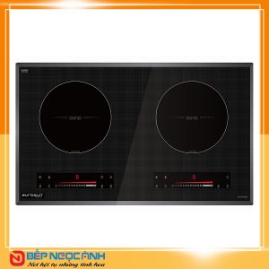 Bếp từ Eurosun T210MAX