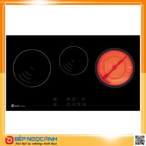 Bếp điện từ Fandi FD 326 IH