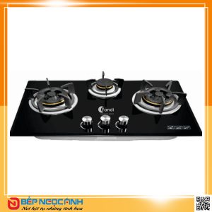 Bếp gas âm Fandi FD 375GT