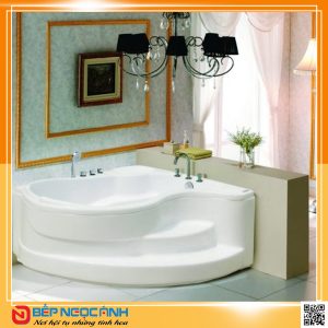 Bồn tắm Việt Mỹ 1313