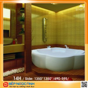 Bồn tắm Việt Mỹ 14H