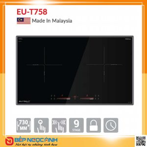BẾP TỪ EUROSUN EU-T758