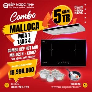 COMBO 94 BẾP TỪ MALLOCA MH-02I N